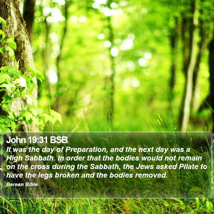 John 19:31 BSB Bible Study