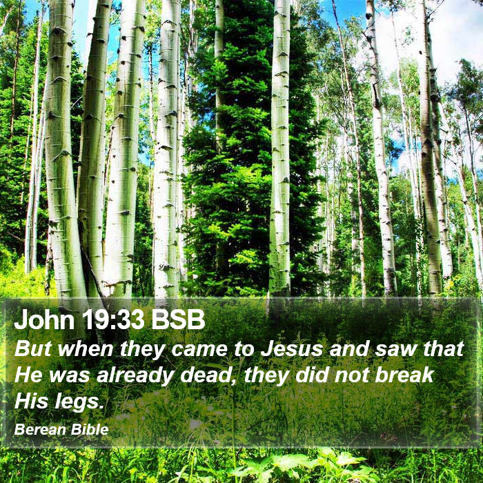 John 19:33 BSB Bible Study