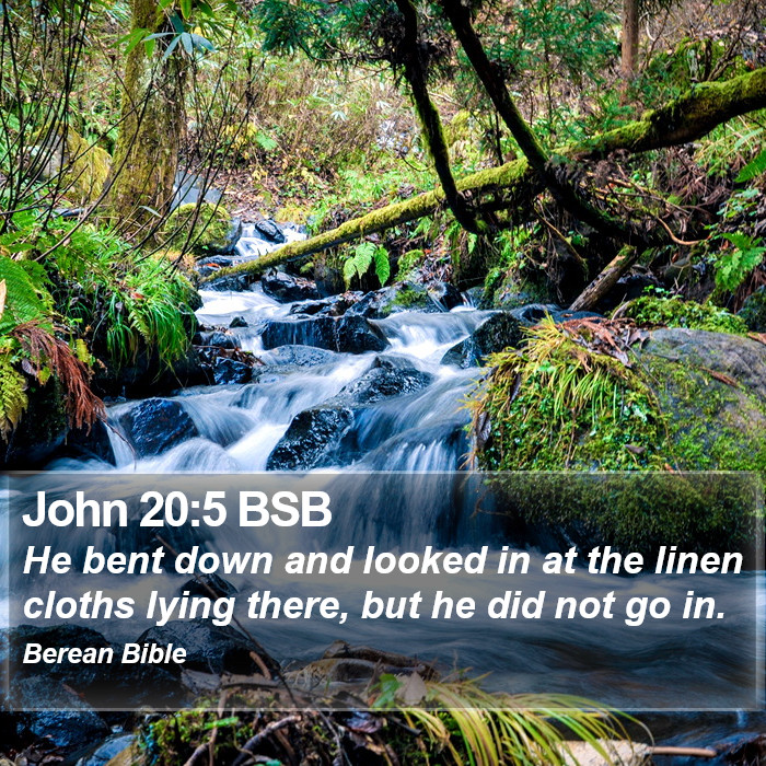 John 20:5 BSB Bible Study