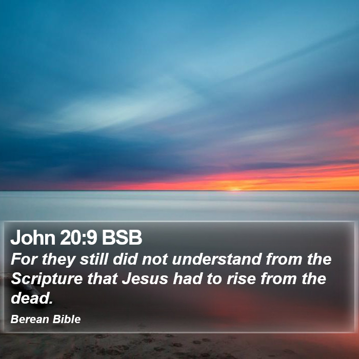 John 20:9 BSB Bible Study