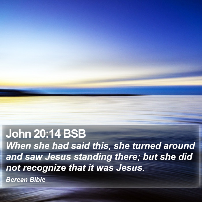 John 20:14 BSB Bible Study