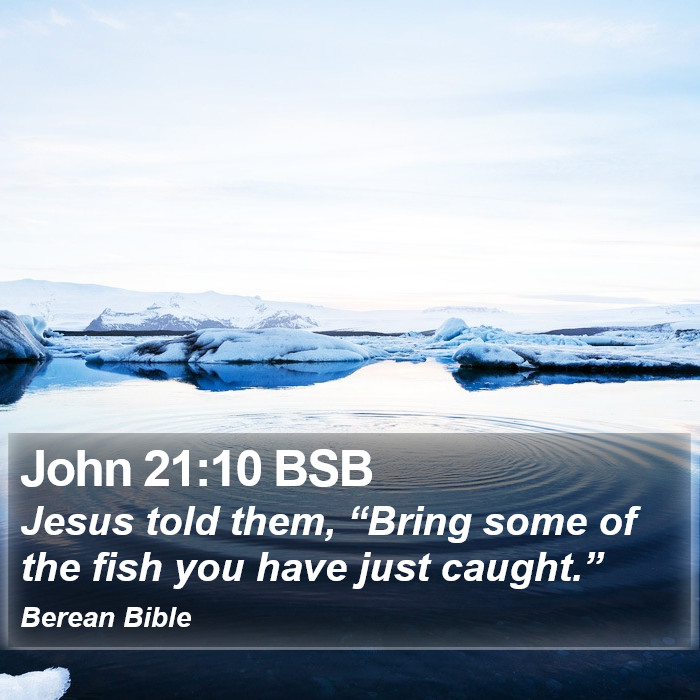 John 21:10 BSB Bible Study