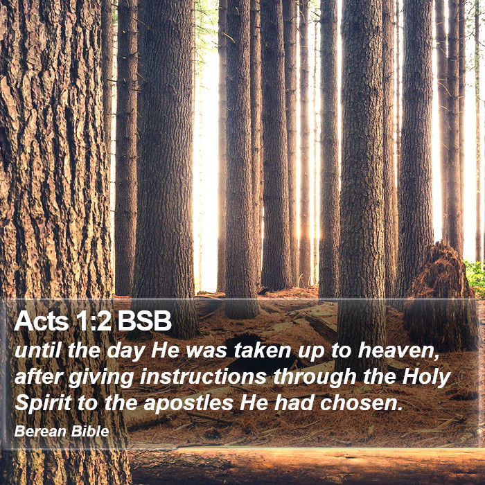 Acts 1:2 BSB Bible Study