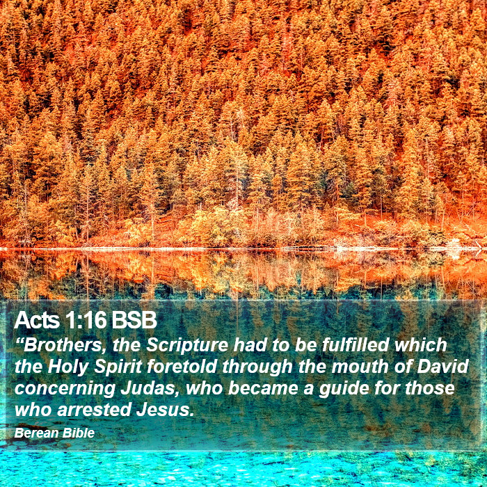 Acts 1:16 BSB Bible Study