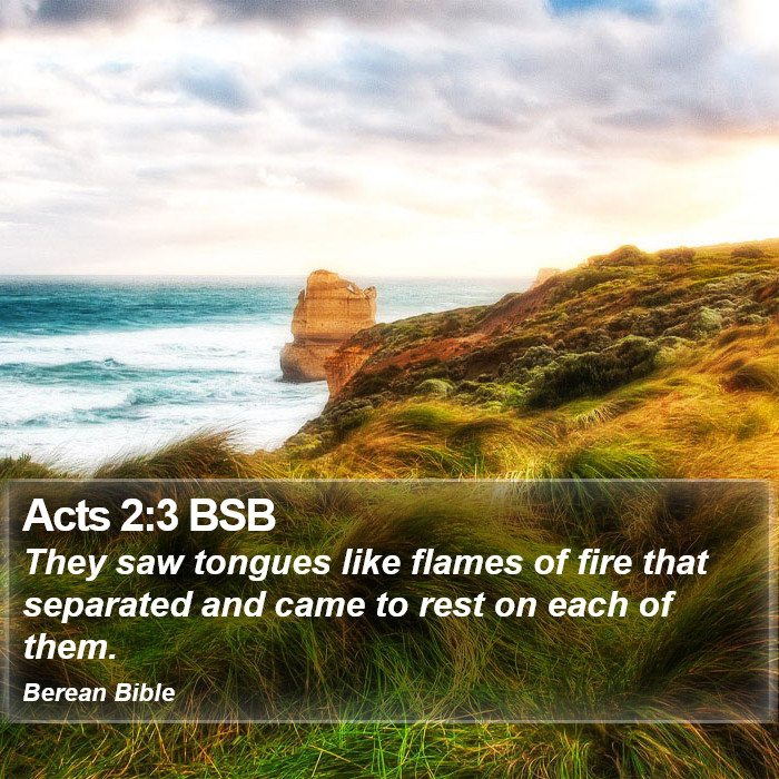 Acts 2:3 BSB Bible Study