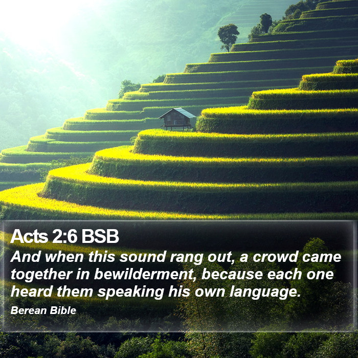 Acts 2:6 BSB Bible Study