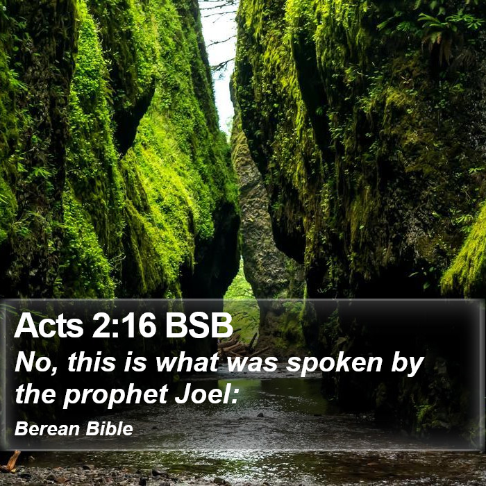 Acts 2:16 BSB Bible Study