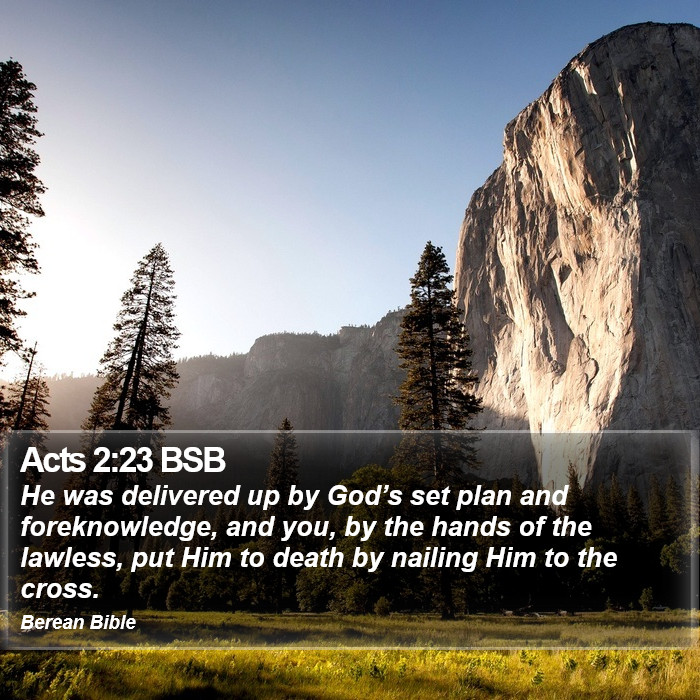 Acts 2:23 BSB Bible Study