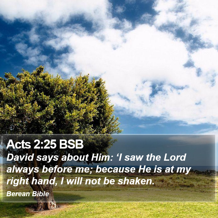 Acts 2:25 BSB Bible Study