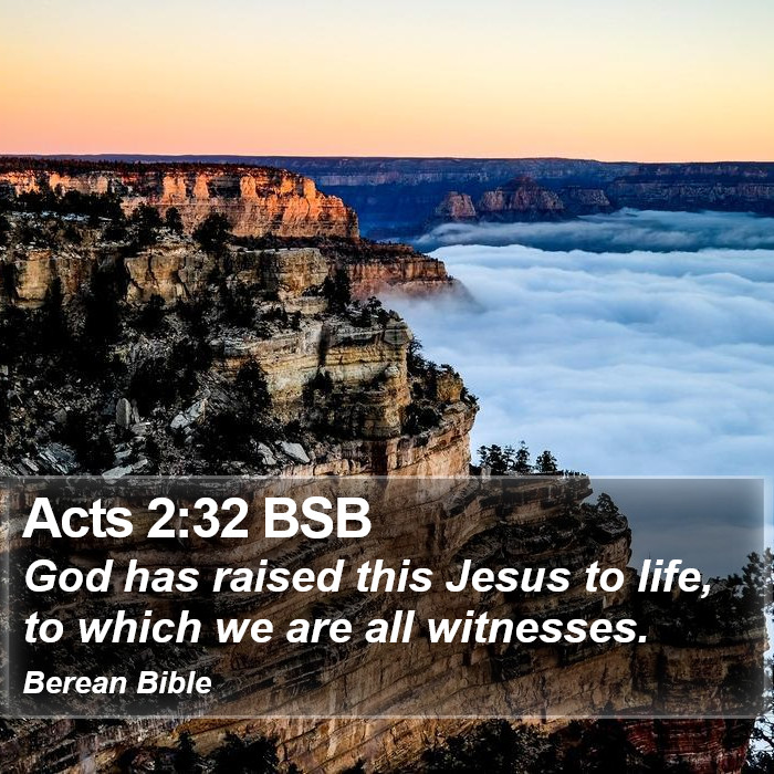 Acts 2:32 BSB Bible Study