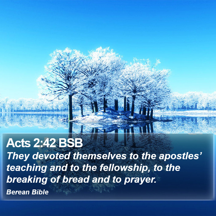 Acts 2:42 BSB Bible Study