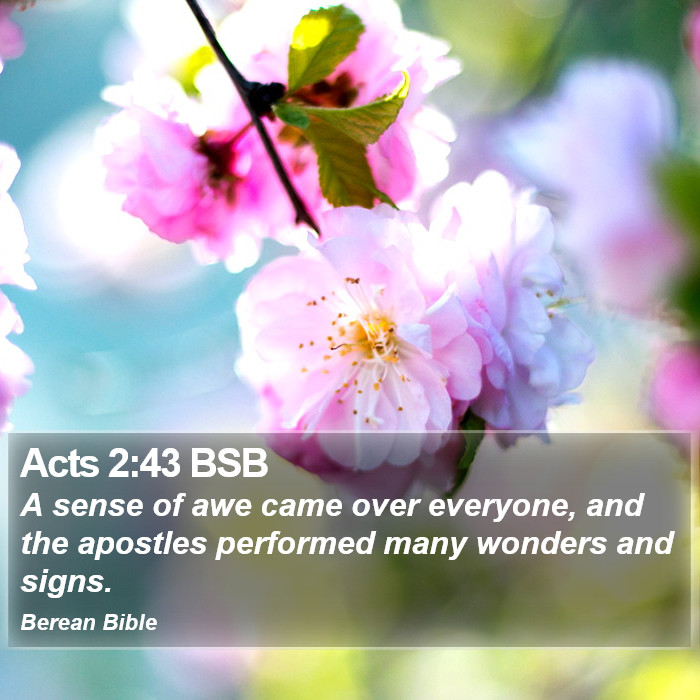 Acts 2:43 BSB Bible Study