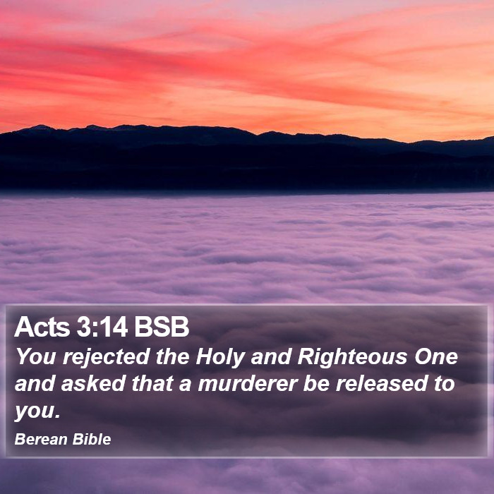 Acts 3:14 BSB Bible Study