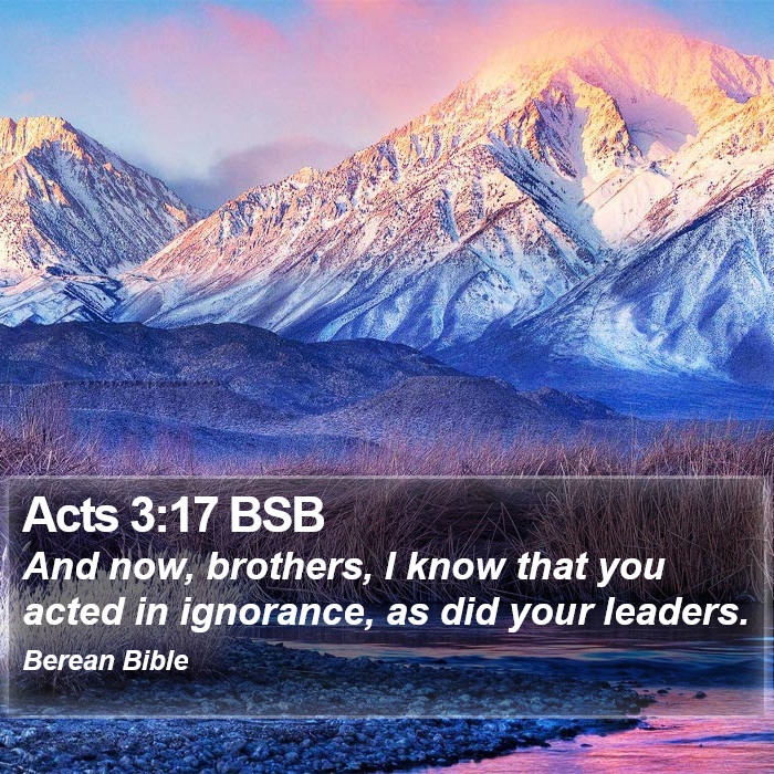 Acts 3:17 BSB Bible Study