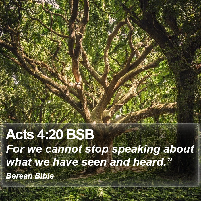 Acts 4:20 BSB Bible Study