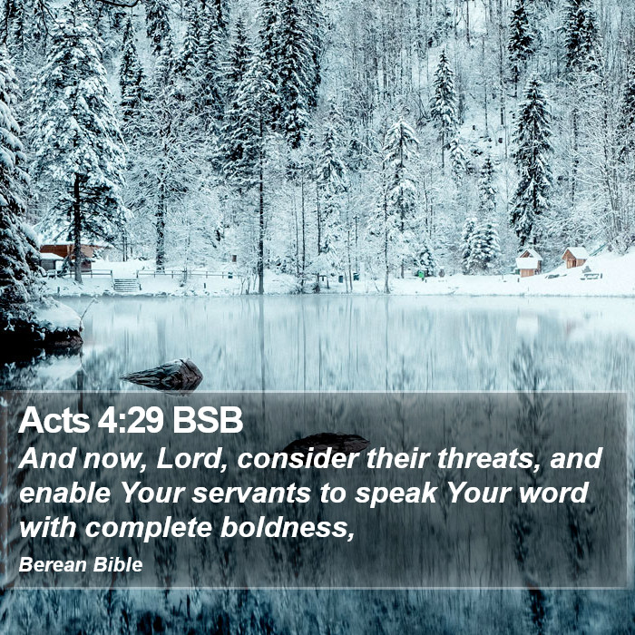 Acts 4:29 BSB Bible Study