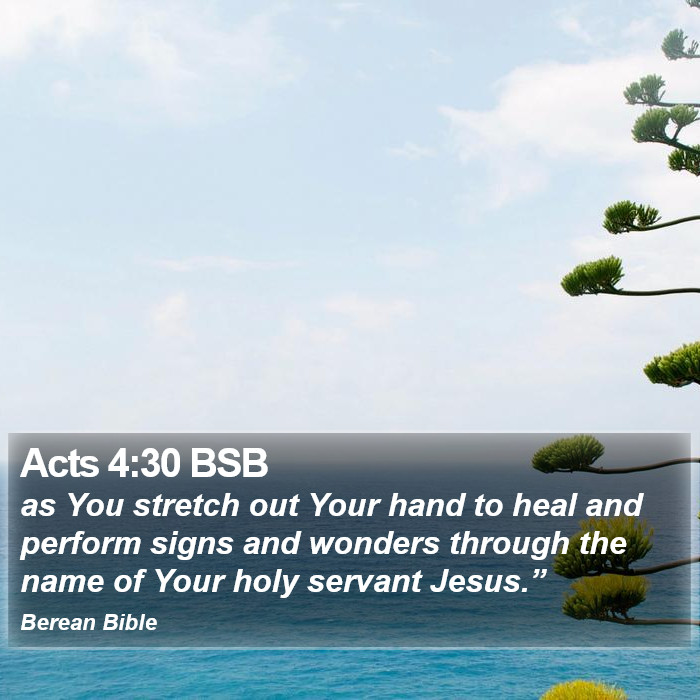 Acts 4:30 BSB Bible Study