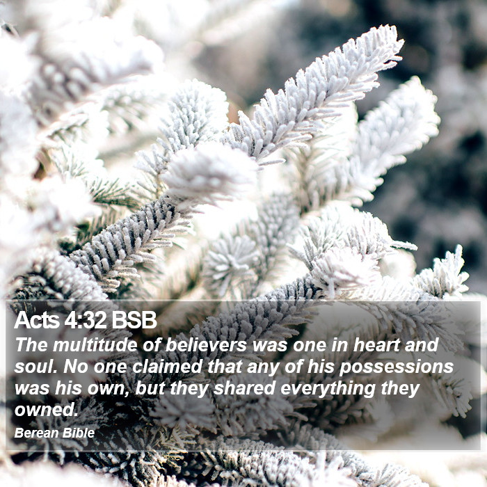 Acts 4:32 BSB Bible Study