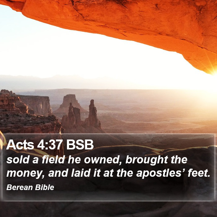 Acts 4:37 BSB Bible Study