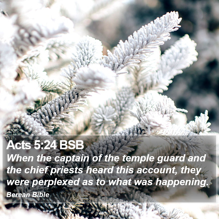 Acts 5:24 BSB Bible Study