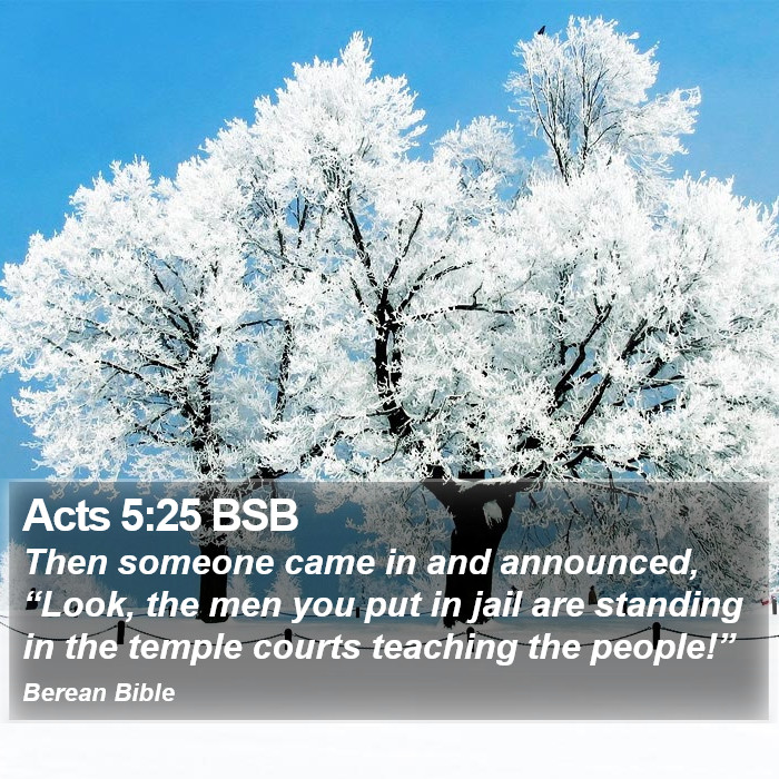 Acts 5:25 BSB Bible Study