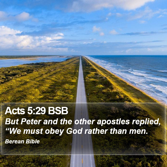 Acts 5:29 BSB Bible Study