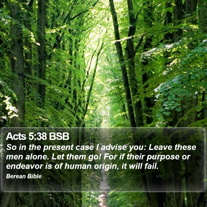 Acts 5:38 BSB Bible Study