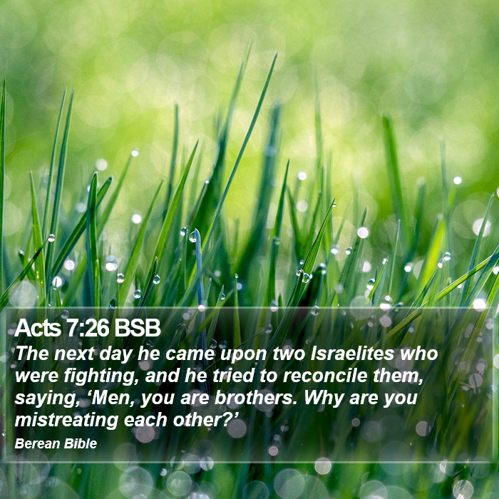 Acts 7:26 BSB Bible Study