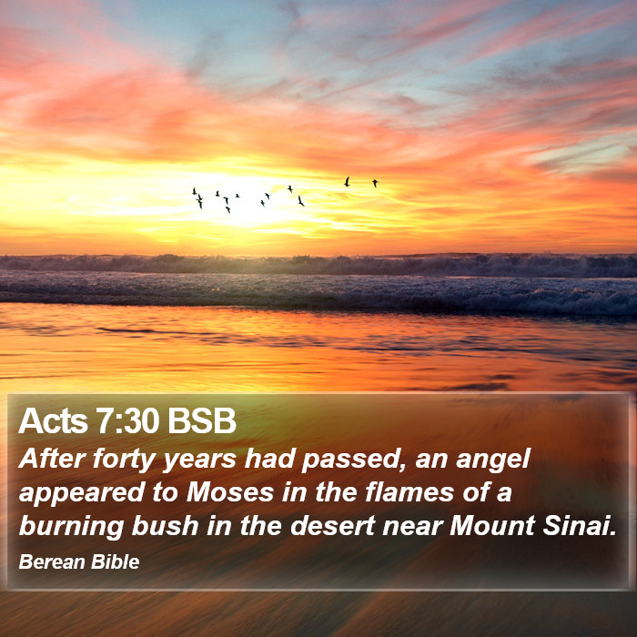 Acts 7:30 BSB Bible Study