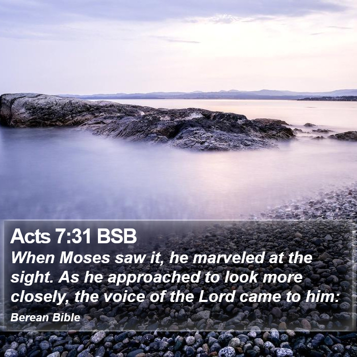 Acts 7:31 BSB Bible Study