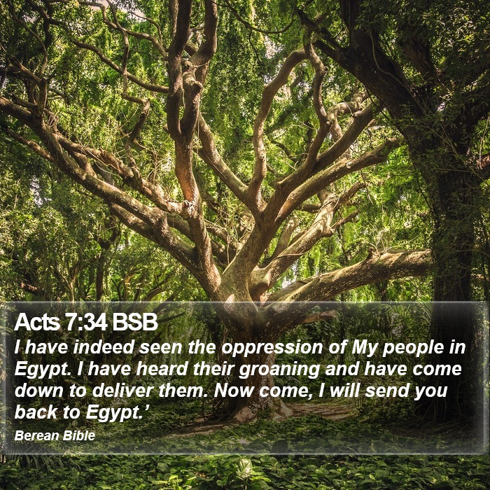 Acts 7:34 BSB Bible Study