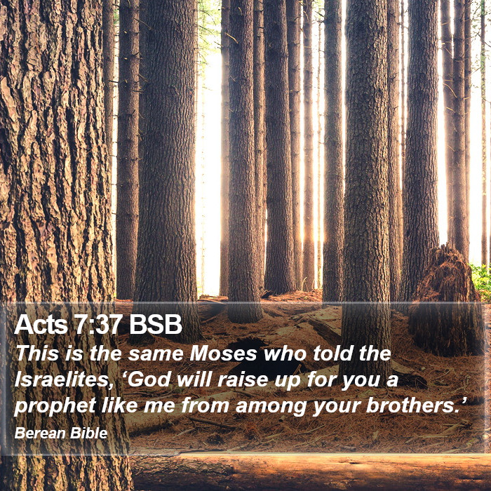 Acts 7:37 BSB Bible Study