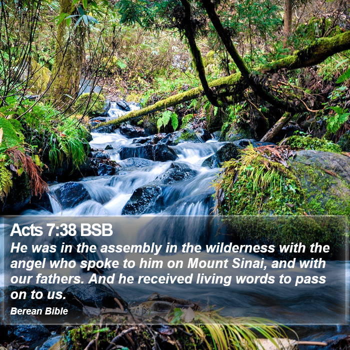 Acts 7:38 BSB Bible Study