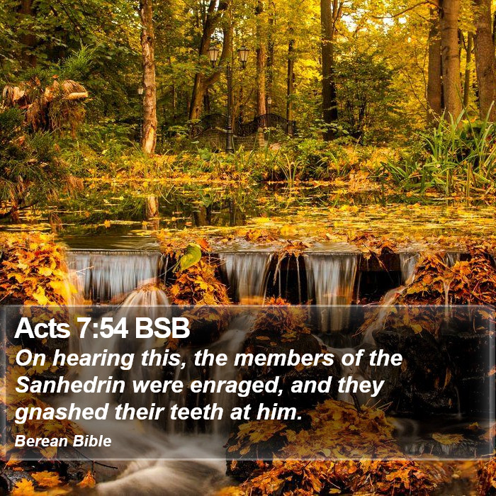 Acts 7:54 BSB Bible Study