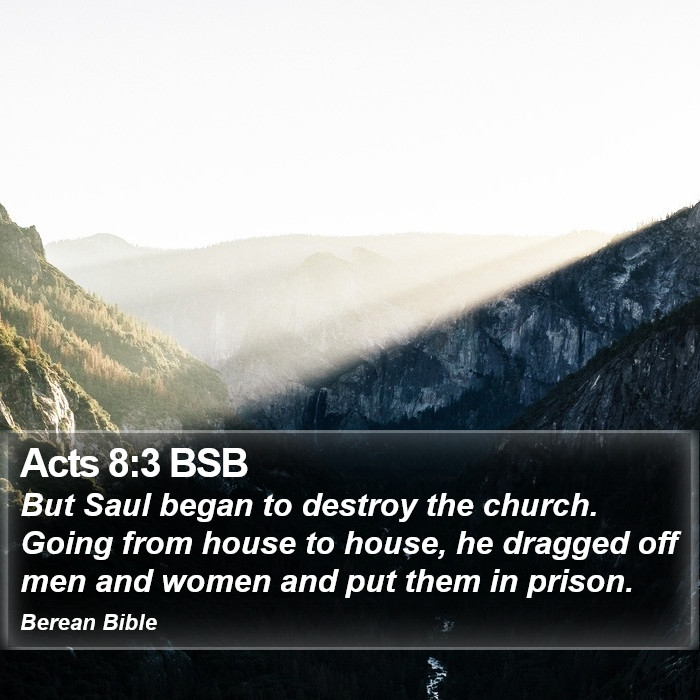 Acts 8:3 BSB Bible Study