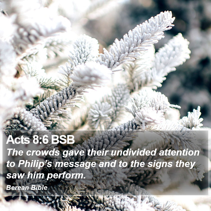 Acts 8:6 BSB Bible Study