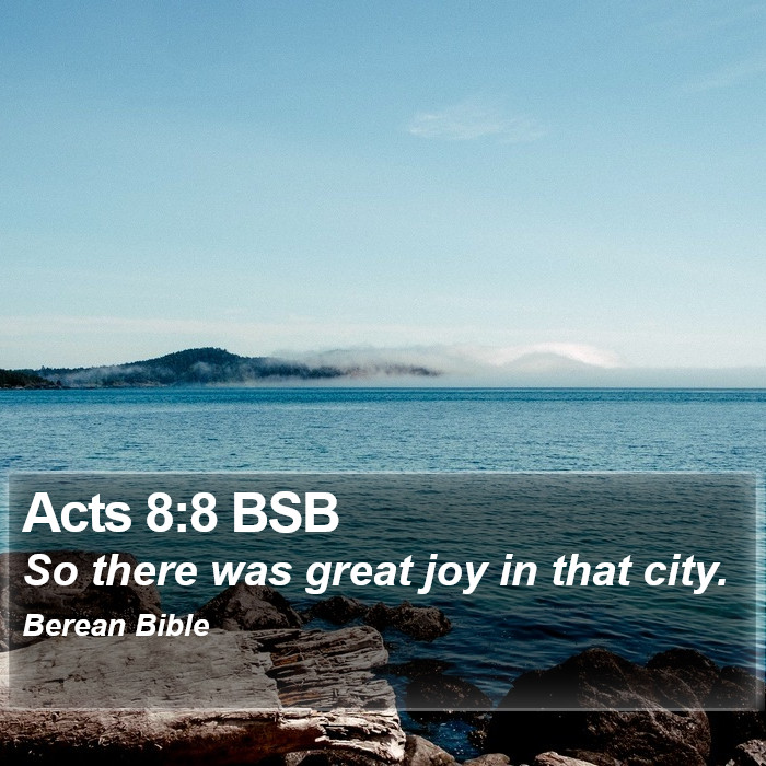 Acts 8:8 BSB Bible Study