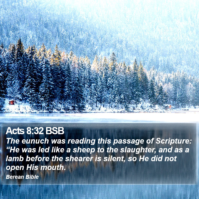 Acts 8:32 BSB Bible Study