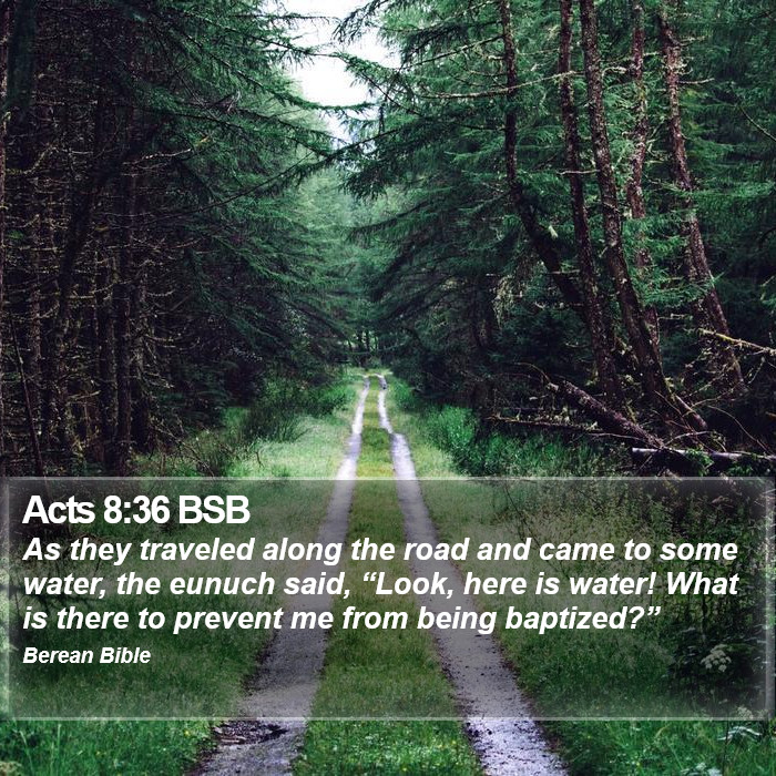 Acts 8:36 BSB Bible Study