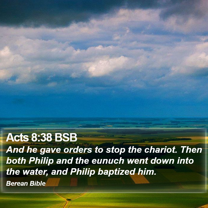 Acts 8:38 BSB Bible Study