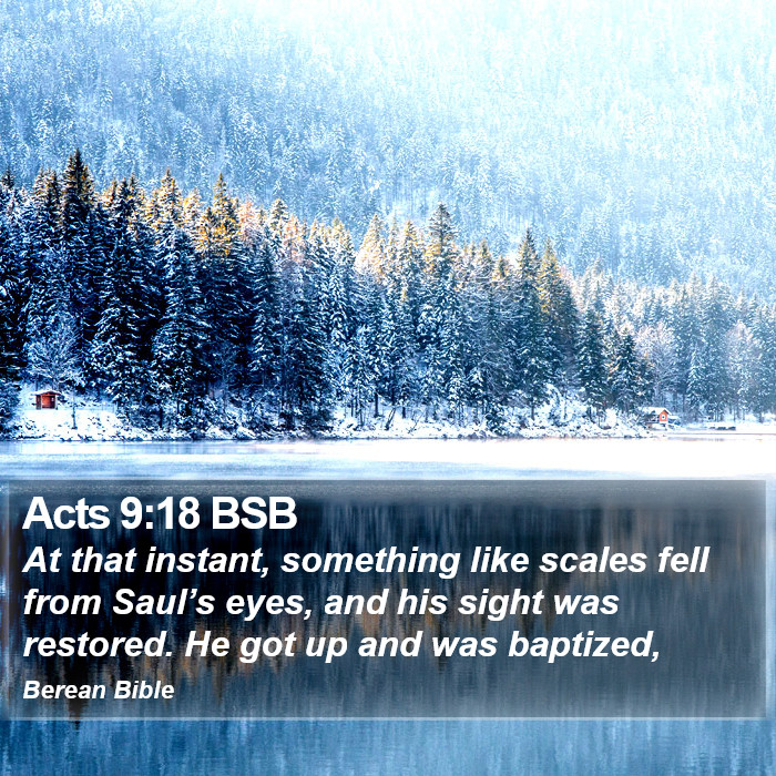 Acts 9:18 BSB Bible Study