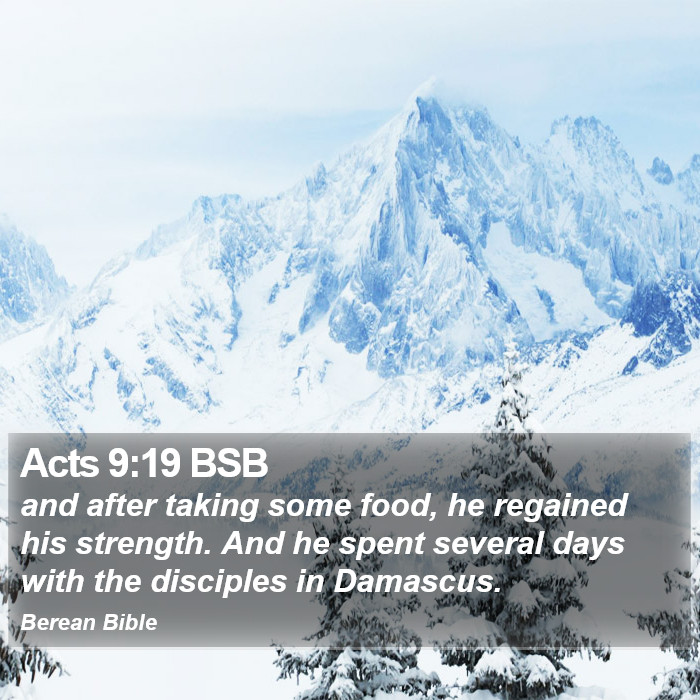 Acts 9:19 BSB Bible Study