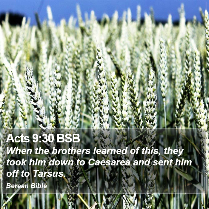 Acts 9:30 BSB Bible Study