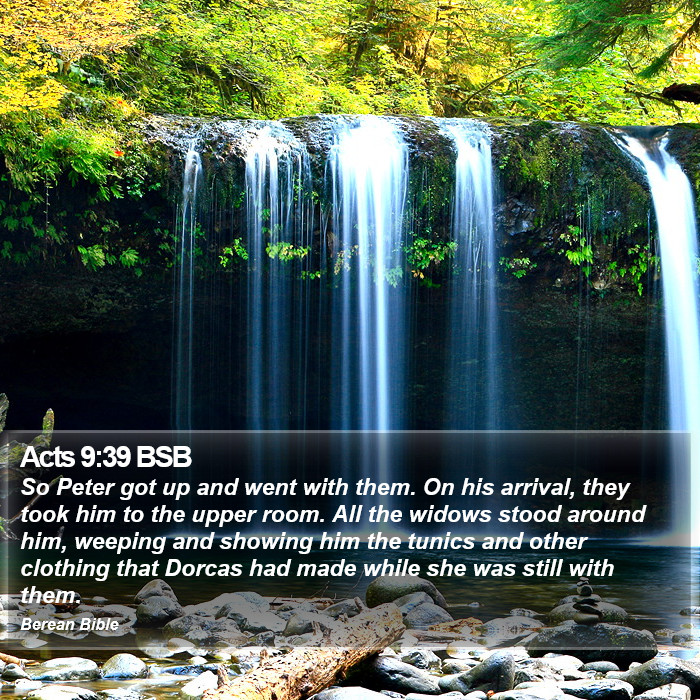 Acts 9:39 BSB Bible Study