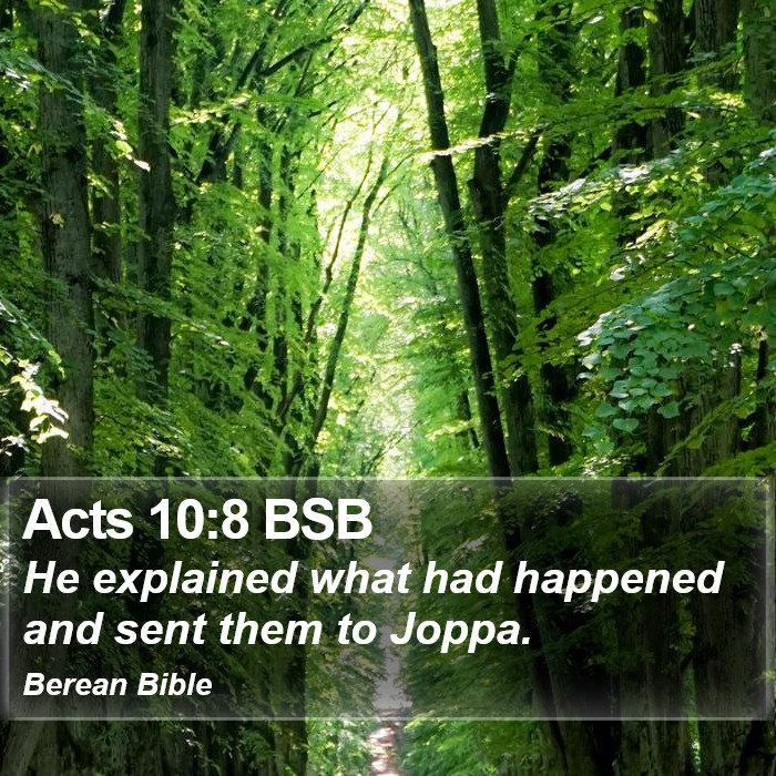 Acts 10:8 BSB Bible Study