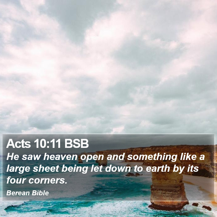 Acts 10:11 BSB Bible Study