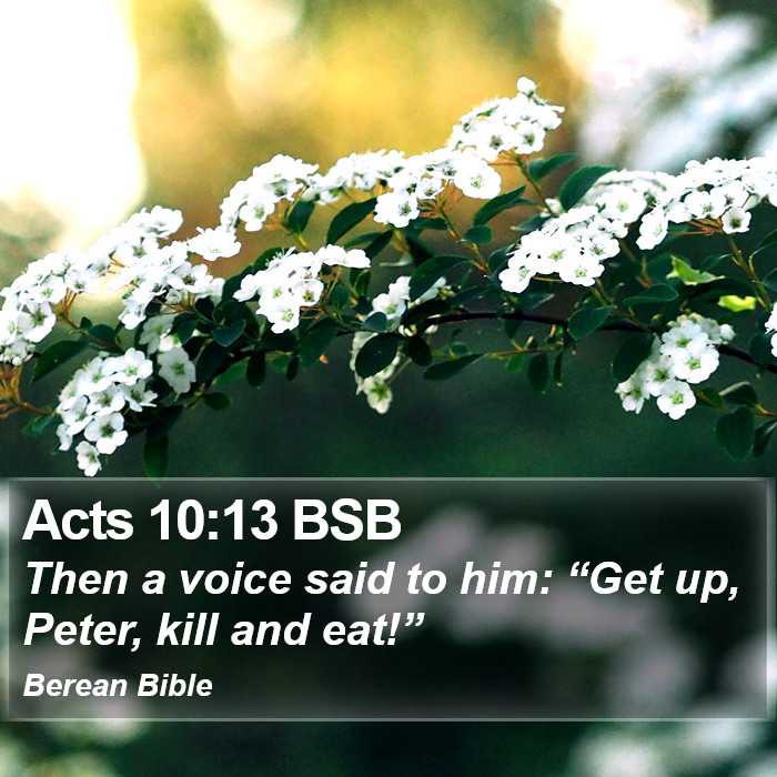 Acts 10:13 BSB Bible Study