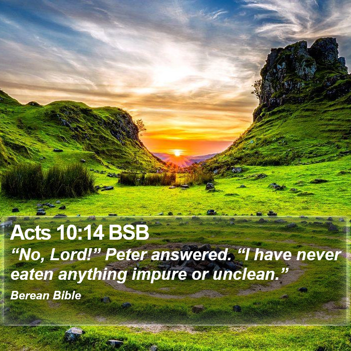 Acts 10:14 BSB Bible Study