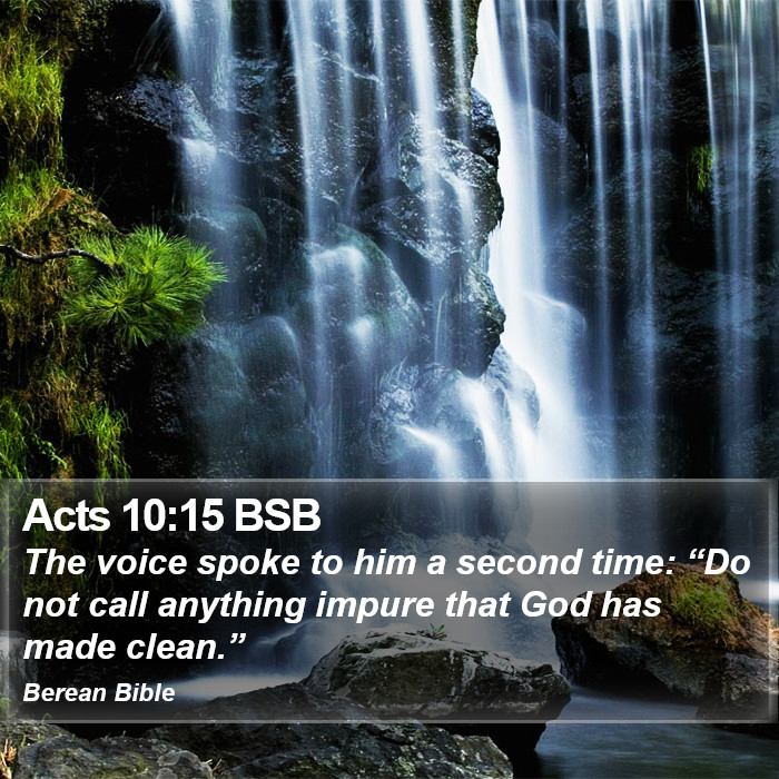 Acts 10:15 BSB Bible Study