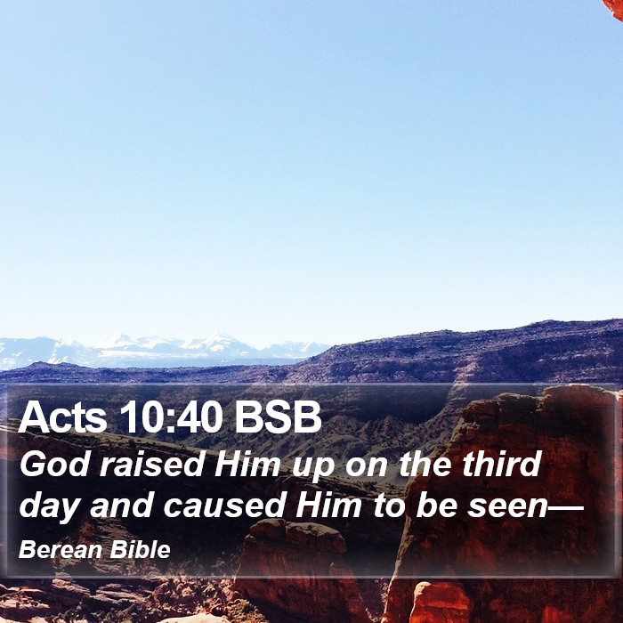 Acts 10:40 BSB Bible Study